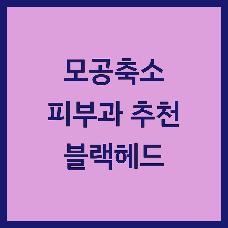 서울 경기 모공축소 피부과 추천 | 모공 관리 레이저 시술 비용 가격 | 블랙헤드 피지 모공 탄력 개선 | 모공 킬링 아쿠아필 여드름 흉터 | 마포 신도림 분당 서현 가성비 후기