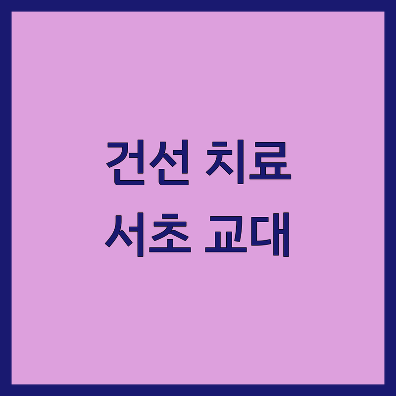 서초역 남부터미널역 교대역 건선 한의원 피부과 저렴한 곳 업체 추천 | 건선 치료 비용 가격 잘하는 곳 | 난치성 피부질환 아토피 두드러기 면역 치료 | 야간 진료 주차 가능 병원 | 재발 방지 개인 맞춤 상담